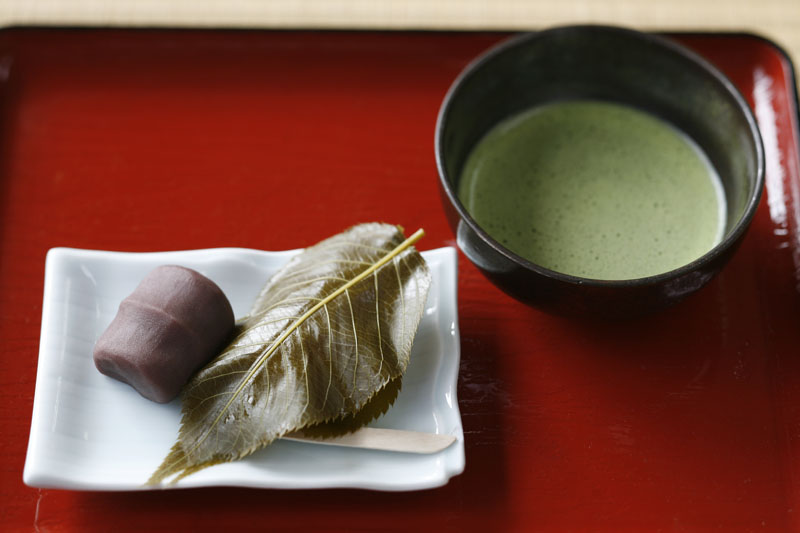 本家桜もち 琴きき茶屋