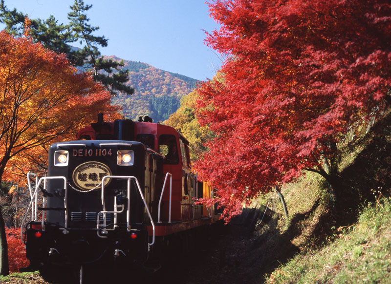 嵯峨野観光鉄道株式会社