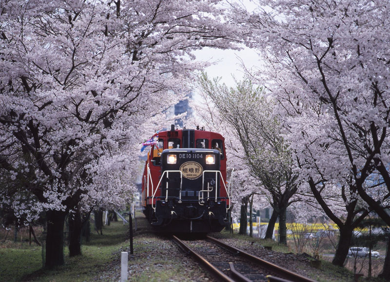 嵯峨野観光鉄道株式会社