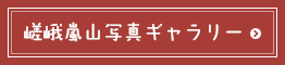 嵯峨嵐山写真ギャラリー